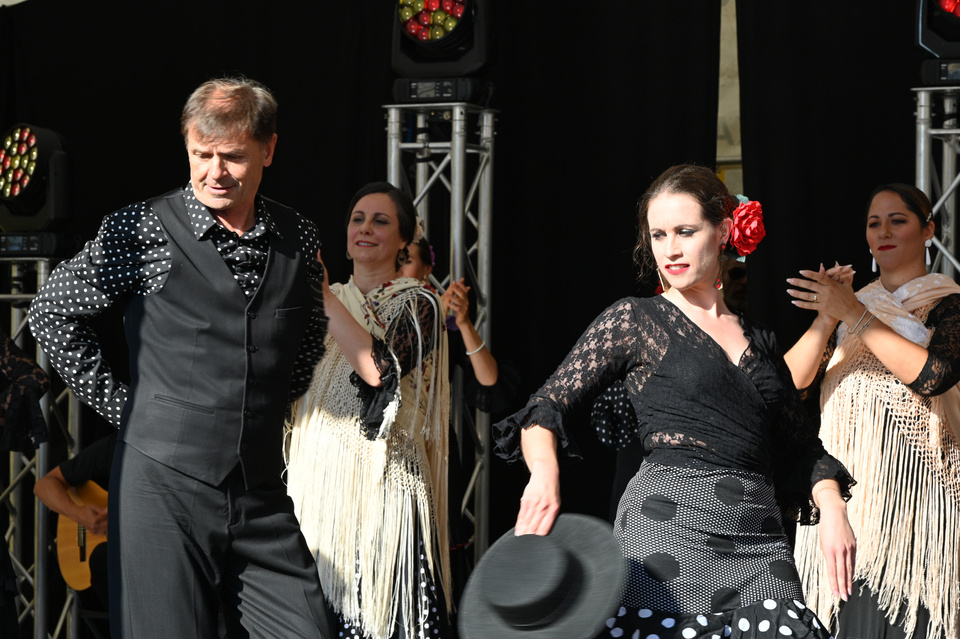 Flamenco 2023, Paar